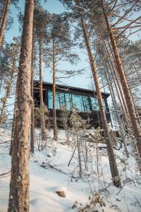 兰塔萨尔米Kuru Resort的雪中树林里的玻璃房子