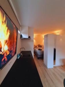 巴恩Studio Baarn with patio, airco, pantry, bedroom, bathroom, privacy - Amsterdam, Utrecht的客厅的墙上挂有火画