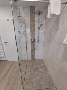 巴特维尔东根Ferienwohnung Helenenquelle的浴室里设有玻璃门淋浴