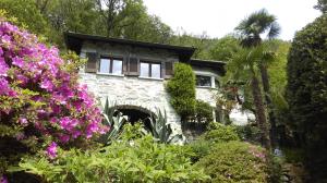 加维科利亚诺Casa Ilvea的一座石头房子前面有鲜花