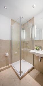 亚琛哈恩纳德酒店的带淋浴和盥洗盆的浴室