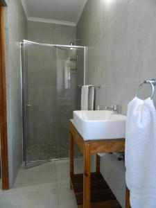 德班维尔Kunsvilla的一间带水槽和淋浴的浴室