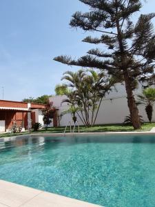 MocheHotel Costa Andina的一座大型游泳池,旁边是松树