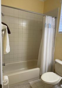 迈阿密Casa Miami 3的带浴缸、卫生间和淋浴帘的浴室
