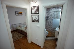新瓦罗什Apartman Vesna的客房设有带一张床和卫生间的浴室。