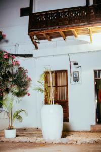 Stone TownPlumeria Motel - Stone Town Zanzibar的坐在大楼前的白色大种植园