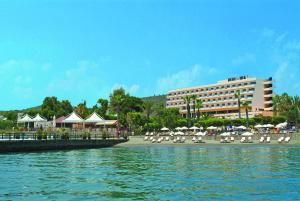 利马索尔伊莱亚斯海滨酒店的一个带椅子和遮阳伞的度假胜地和一座建筑