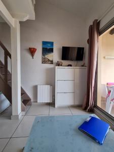 滨海圣皮埃尔Les hauts d'azur的一间配有电视和蓝色地毯的客厅