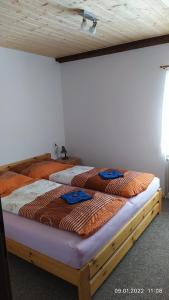 贝内茨科Apartmán Pod Žalým的卧室设有两张单人床和木制天花板