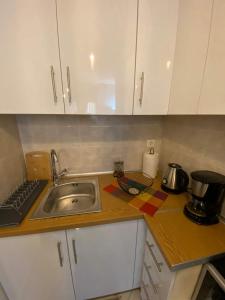 沃洛斯cozy apartment的厨房配有水槽和台面