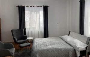 马里瑟尔Pensiunea Casa Eden的卧室配有床、椅子和窗户。