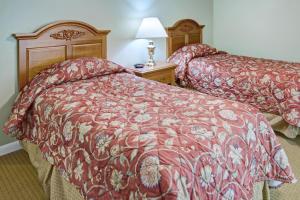 鸽子谷埃克斯普洛利亚山地草甸度假酒店的酒店客房设有两张床和一张带台灯的桌子。