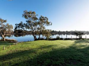 珀斯Swan River Hotel的草场,有树和湖泊