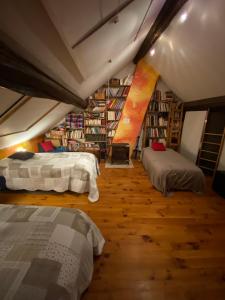 FublainesL Armance的一间设有两张床和书架的房间