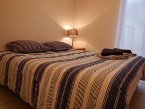 布里夫拉盖亚尔德Brive Centre的一间卧室配有带两个枕头和一盏灯的床