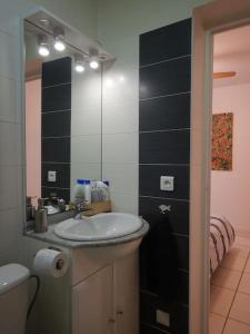 布里夫拉盖亚尔德Brive Centre的一间带水槽、卫生间和镜子的浴室