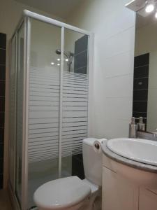 布里夫拉盖亚尔德Brive Centre的带淋浴、卫生间和盥洗盆的浴室