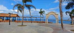 Al MinyahAquarius Touristic Resort的棕榈树和海洋凉亭