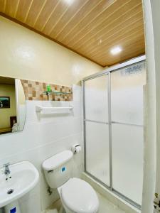 圣地亚哥Hotel Ana Mary的一间带卫生间和玻璃淋浴间的浴室
