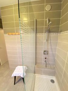 安锡LE PANORAMIQUE的浴室里设有玻璃门淋浴