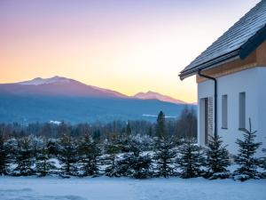 韦特利纳Białe Chyże的雪中外有圣诞树的房子