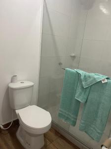 菲兰迪亚Finca la vaga的浴室设有白色卫生间和绿色毛巾。