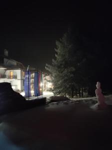 斯莫梁Iv Apartment in The Wonderful Rhodope Mountain的坐在树前雪中的一个雪人