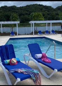 PointNatty’s Cozy Beach house in Hanover Jamaica的两把蓝色椅子坐在游泳池旁