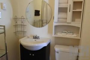 鲁珀特王子港黑色公鸡宾馆的一间带水槽、镜子和卫生间的浴室
