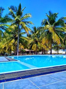 亭可马里亭可马里珍珠海洋度假住宿加早餐旅馆的一座棕榈树环绕的游泳池