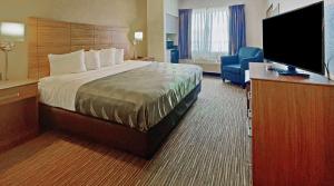 埃尔帕索大学品质酒店的配有一张床和一台平面电视的酒店客房