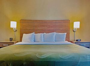 埃尔帕索大学品质酒店的一间卧室配有一张大床和木制床头板