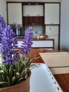 萨拉热窝Apartman Kovaci的厨房里桌子上紫色花瓶