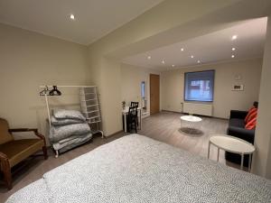 卢森堡city rooms luxembourg的一间卧室设有一张床和一间客厅。