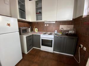 兹拉蒂博尔Vila Jela Tornik的厨房配有白色橱柜和白色冰箱。