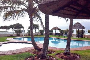 阿曼济姆托蒂Inyoni Rocks Cabanas No 40的度假村内一座带两棵棕榈树的游泳池