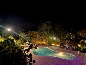 圣伊西德罗Hotel de Montaña El Pelicano的夜间在院子里的游泳池