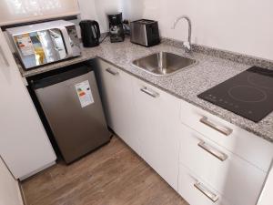 查克拉斯德科里亚Moderno departamento para dos personas en Chacras de Coria的一间带水槽和冰箱的小厨房