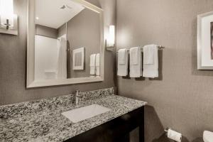 Holiday Inn Hotel & Suites Silicon Valley – Milpitas, an IHG Hotel的一间浴室