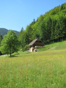 卢斯Chalet Brložnica pod Veliko planino的山丘草原的小小屋