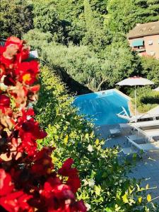 博格利斯科Agriturismo Le Pale 2 Swimming Pool and Parking的游泳池旁种有红色花的花园