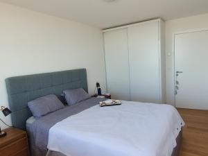 蒙得维的亚Modern apartment first line beach Montevideo UY的一间卧室配有一张大床和蓝色床头板