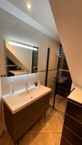 多勒Mille et une nuit, appartement classé 3 étoiles en RDC avec exterieur et parking的一间带水槽和淋浴的浴室