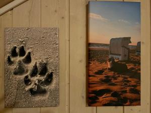 巴贝Villa Mar Baabe的画旁的沙子里的猫爪印花