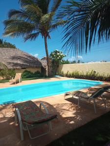 圣米格尔-杜戈斯托苏奇卡皮坦加旅馆的一个带两把躺椅和棕榈树的游泳池