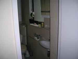 美因茨美因茨吉姆特利切斯菲尔恩豪斯度假屋的一间带卫生间和水槽的小浴室