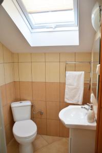 米卢夫卡Apartamenty Milówka Centrum的浴室设有卫生间和带天窗的盥洗盆。