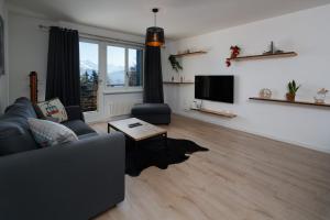 克莱恩 蒙塔纳Magnifique appartement proche du centre et du ski的带沙发和电视的客厅
