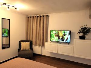 布加勒斯特Rose Garden House的一间卧室配有电视和椅子