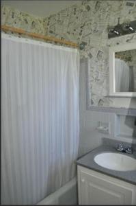 卢雷卢雷洞穴汽车旅馆的浴室配有淋浴帘和盥洗盆。